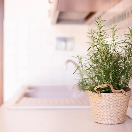 شقة Azzurro By Elbasummer